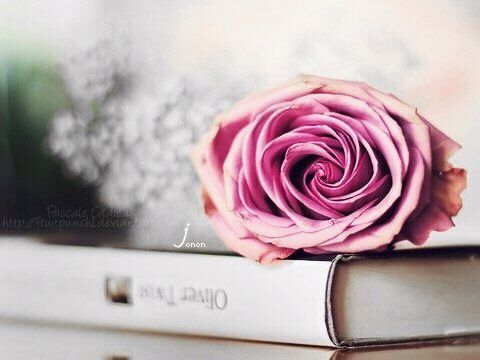 ‏‏‏‏‏إلى العلياء دوماً روحي في اشتياق ... همةٌ تسمو ونفس طموح •• إلهي بلّغني مرادي ••