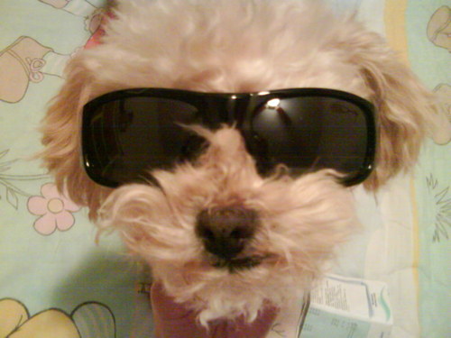 israelgaa's profile picture. 