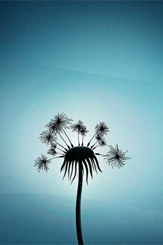 _minda_burdg's profile picture. 