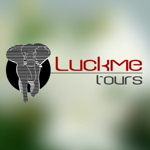 luckmetours's profile picture. 