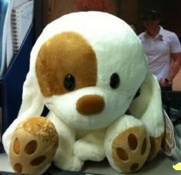 fico_donnieyen's profile picture. 