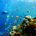SoutheastAsia Island (@southeastasia_i) Twitter profile photo SoutheastAsia Island (@southeastasia_i) Twitter profile photo