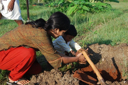 nature, conservation, education