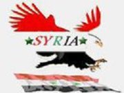 syrianelectronicarmy