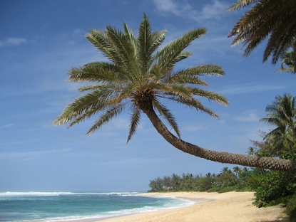 TestFest_2012's profile picture. 