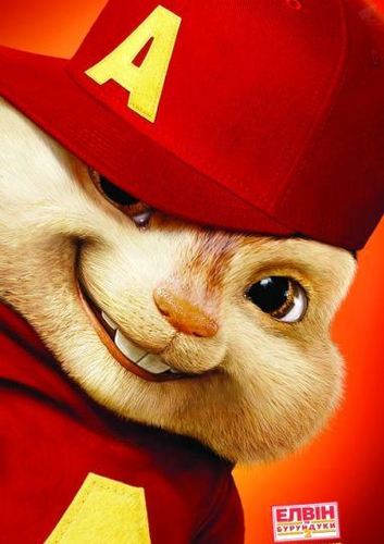 NetBurunduka's profile picture. Сайт лучших фото приколов, а также прикольные картинки, юмор и развлечения.