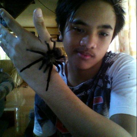 GeneeSacha's profile picture. 