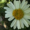 ali çetin - @alim_cetin - Twitter