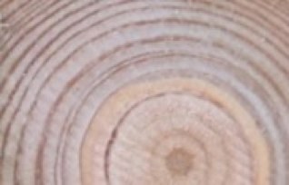 L’habitat éco-responsable questionne l’habitat sous toutes ses formes : Construire, Habiter, Consommer… Apprenons maintenant à être éco-responsables !