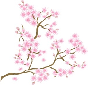 cherie2236's profile picture. I like to think of thoughts as living blossoms borne by the human tree. -James Douglas