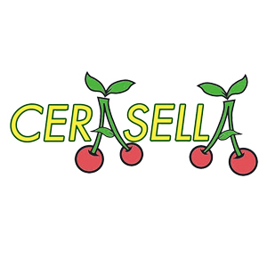 GelateriaCerase's profile picture. L'elemento qualità determina il nostro lavoro, affiancato dalla cura nella scelta delle materie prime e la scrupolosa trasformazione delle stesse.
