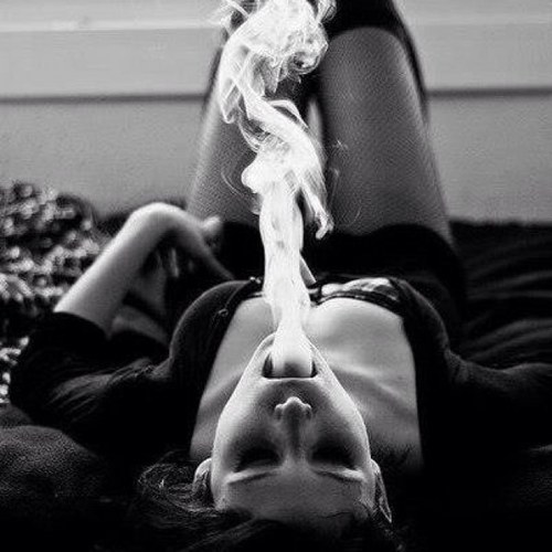 LA_RELATIVA's profile picture. 🏳️‍🌈 Soy una Gata. Araño, para bien y mal. Con el Alma siempre en mi Isla. Muy Sibarita, me gusta de lo bueno, lo mejor y de lo mejor pues @B_apletree MIAU!