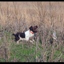 Gary Hackney - @GaryHackney - Twitter