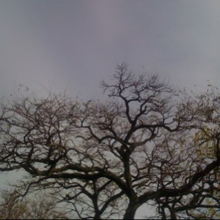 valeonc's profile picture. 