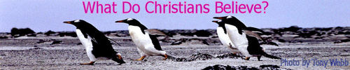FREE downloads that help you to explore and to understand Christianity. Blog which looks at daily life with a Christian perspective that you can comment about.