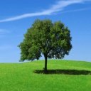 getsocial_cz's profile picture. Get social, be creative, become a connected company! 
Novinky ze sveta podnikovych socialnich siti. Managed by @jan_valdman #socialbiz #socbiz #ESN