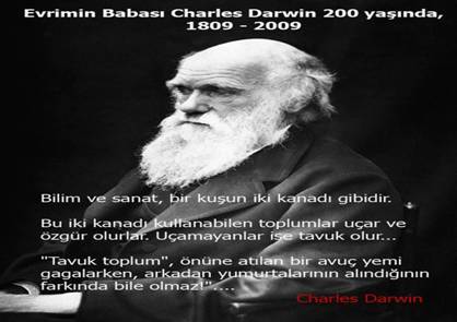 Şehmus Uysal