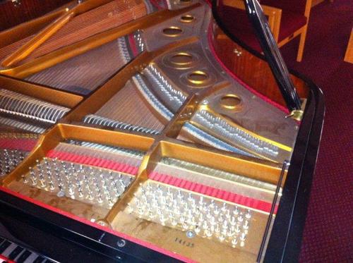 Piano tuner, Singer, Choral Conductor, Church Organist, Voice and Piano teacher