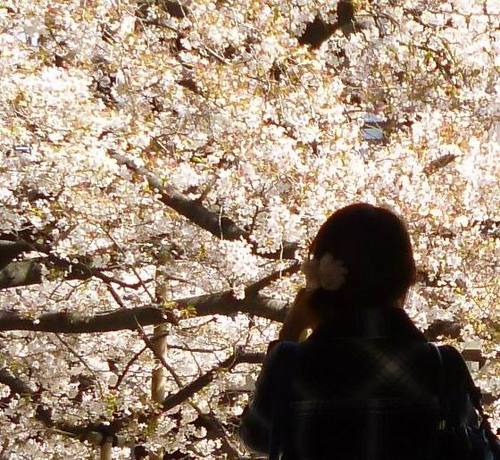 linkaoru's profile picture. ～漫画翻訳、字幕翻訳、書籍翻訳、ゲーム ローカライズ～ 
＊ Steins;Gate､86―エイティシックス―、ハイキュー､スラムダンク
＊GLAY、KAT-TUN