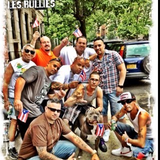 LESBULLIES's profile picture. 