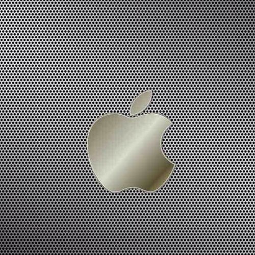 spidersweb246's profile picture. 