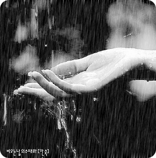 roo7_alnada's profile picture. 