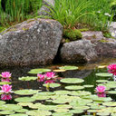 Robert Baxter - @rjb_landscapes - Twitter