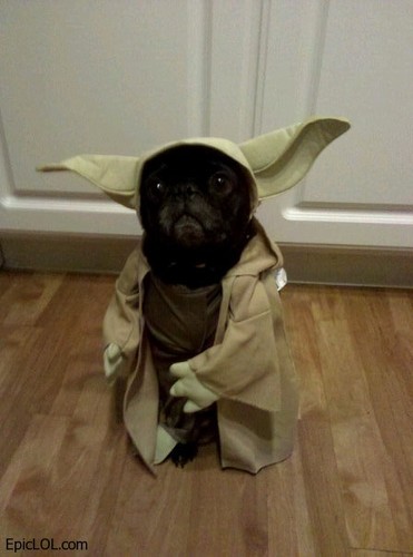 palazonx's profile picture. Fan de AP-13