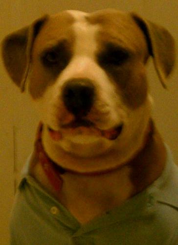 dialva1015's profile picture. 