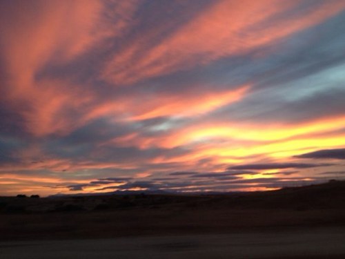 gabrieleustache's profile picture. 