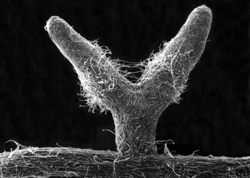 M_E_Blog's profile picture. Blog of Science, Engineering and all things Materials.