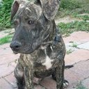 arturo ramirez - @FloydRamirez - Twitter