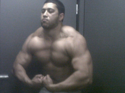 kakbek's profile picture. Aspiring body builder champion!The strength of a beast and the will to match!