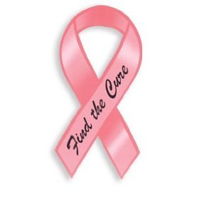 KSNFORG's profile picture. Our mission is to support the Nursing Profession, Breast Cancer Survivors & Research through Scholarships & Grants!