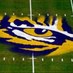 LSU Problems (@lsu_problems) Twitter profile photo