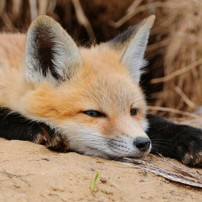 ひかり ドラえもんの黄色塗装は卵の黄身で それが振動で剥げて声も枯れて ってのしか知らない ドラえもんが青くなった理由が昔と違うという驚愕の事実 ショックで青くなったんじゃないの Http T Co 5supopvetc Niconews ひかり ドラえもんの黄色塗装は卵の黄身で それが振動で剥げて声も枯れて ってのしか知らない ドラえもんが青くなった理由が昔と違うという驚愕の事実 ショックで青くなったんじゃないの Http T Co 5supopvetc Niconews