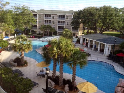 DonaEnsell's profile picture. 