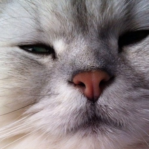 takbghton03's profile picture. 