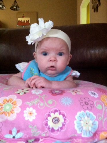 Melchavers's profile picture. 