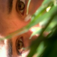 joseantonioviejo (@joseantoniokas) 's Twitter Profile