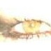 tere claramonte (@63tere) Twitter profile photo tere claramonte (@63tere) Twitter profile photo
