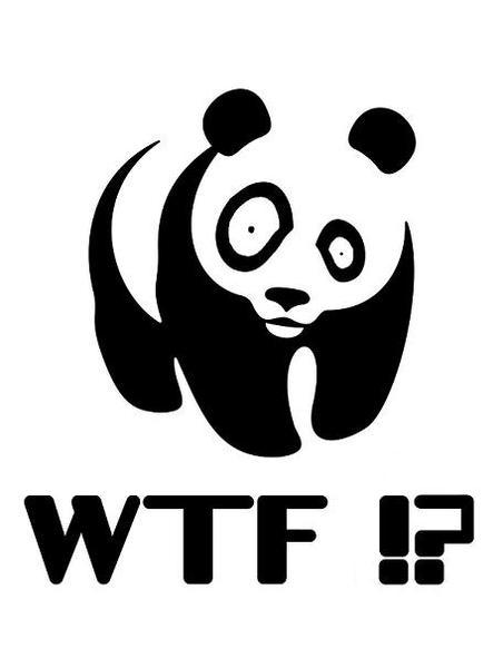 e440's profile picture. пішу з памылкамі