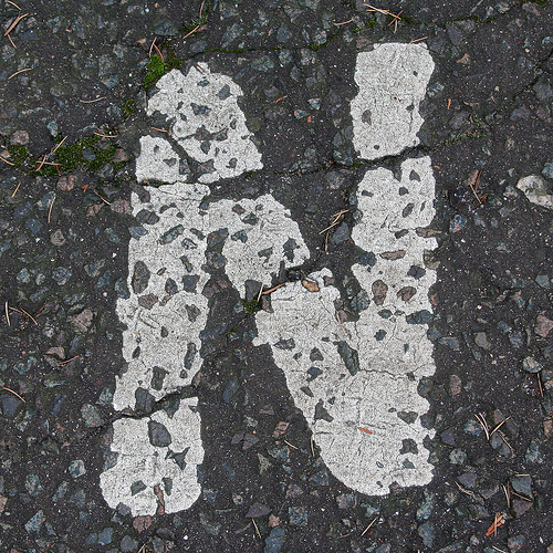 Novato's profile picture. 160 caracteres son muy pocos para hablar acerca de mi :-(