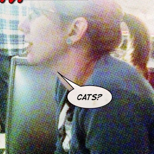 RoseTylerDurden's profile picture. I am here to chew bubble gum and tweet cat stuff... And I'm all outta bubble gum.