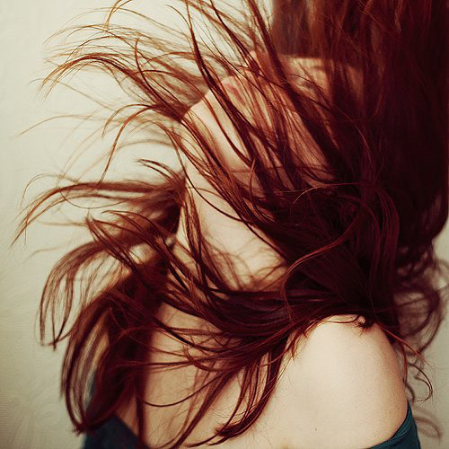 synfromhevn's profile picture. Silent DARRENatics • Introvert • Hobbies? Aside from sleeping? Daydreaming. Charaughts! • Reading • Writing