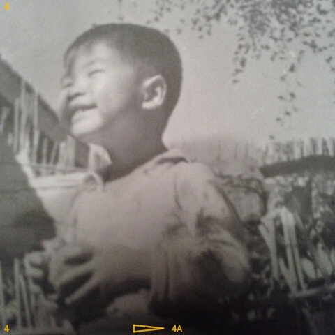 xiaogelunbu's profile picture. 