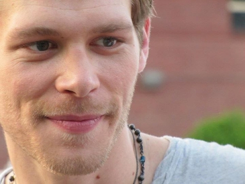Klaus or Nik Hybrid Bites.