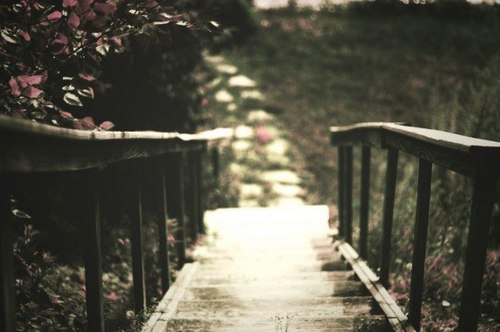 wuzebin's profile picture. 