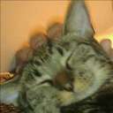 Judi Harper - @HarperJudi - Twitter