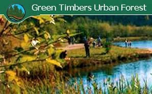green_timbers's profile picture. The Green Timbers Heritage Society is the steward of the Green Timbers Urban Forest in Surrey, BC, Canada.